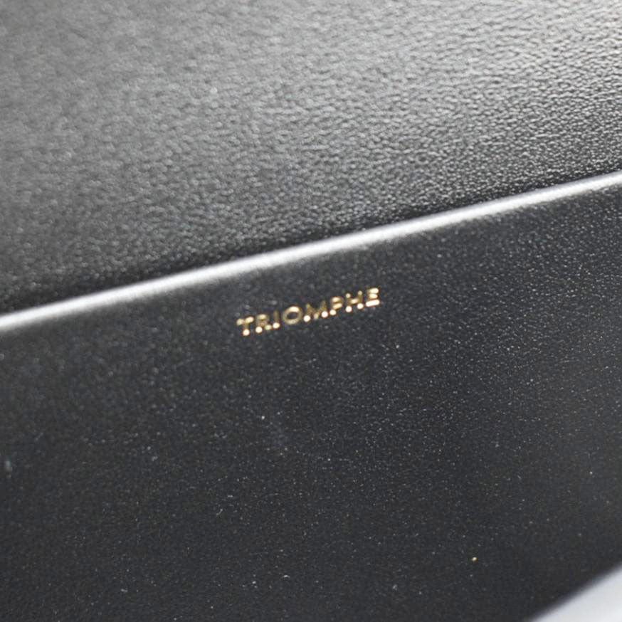 CELINE Triomphe Claude Suede Strass Shoulder Bag Black - Image 14