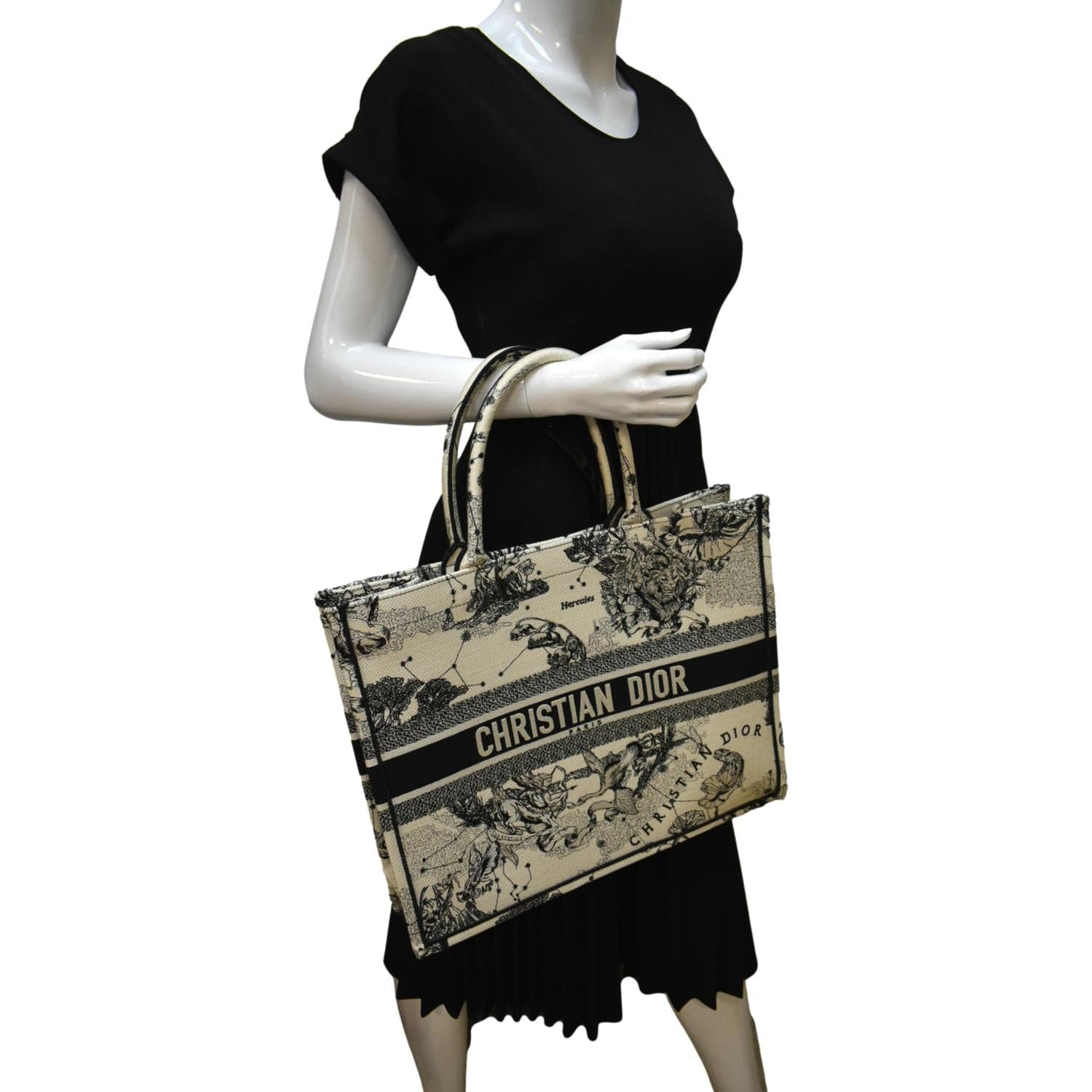 CHRISTIAN DIOR Book Zodiac Embroidery Canvas Tote Bag Latte - Image 2