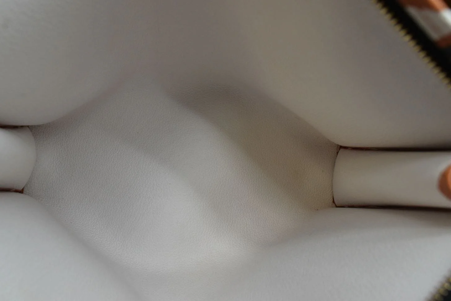 LOUIS VUITTON Crafty Toiletry 26 Monogram Giant Pouch Creme Caramel - Image 9