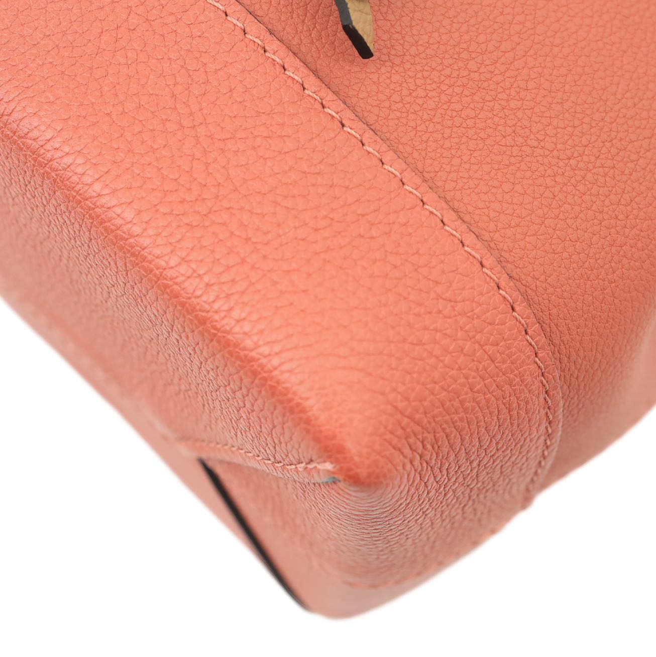 LOUIS VUITTON Dauphine PM Leather Backpack Pink - Image 9