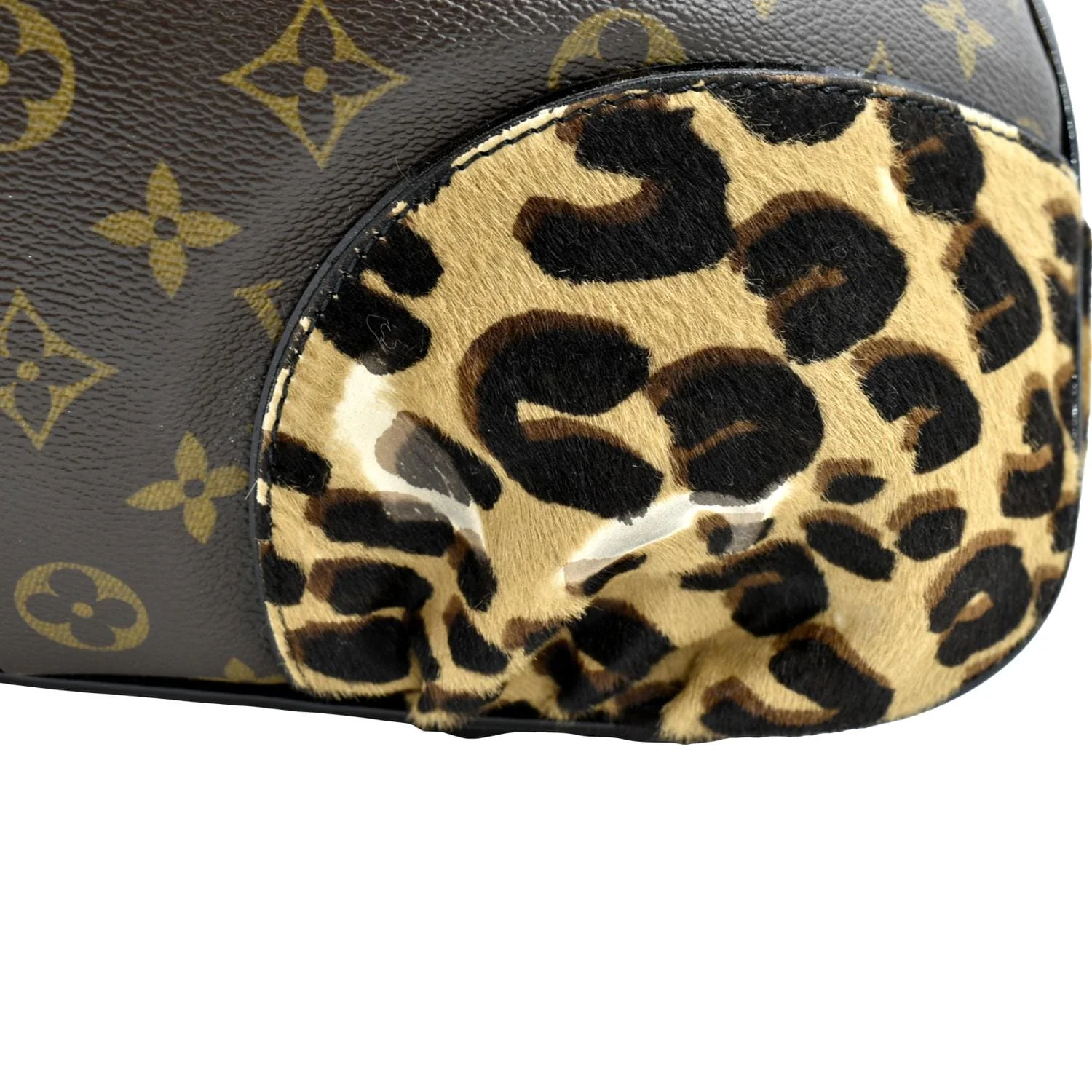 LOUIS VUITTON Polly Leopard Monogram Canvas Hobo Bag Brown - Image 10