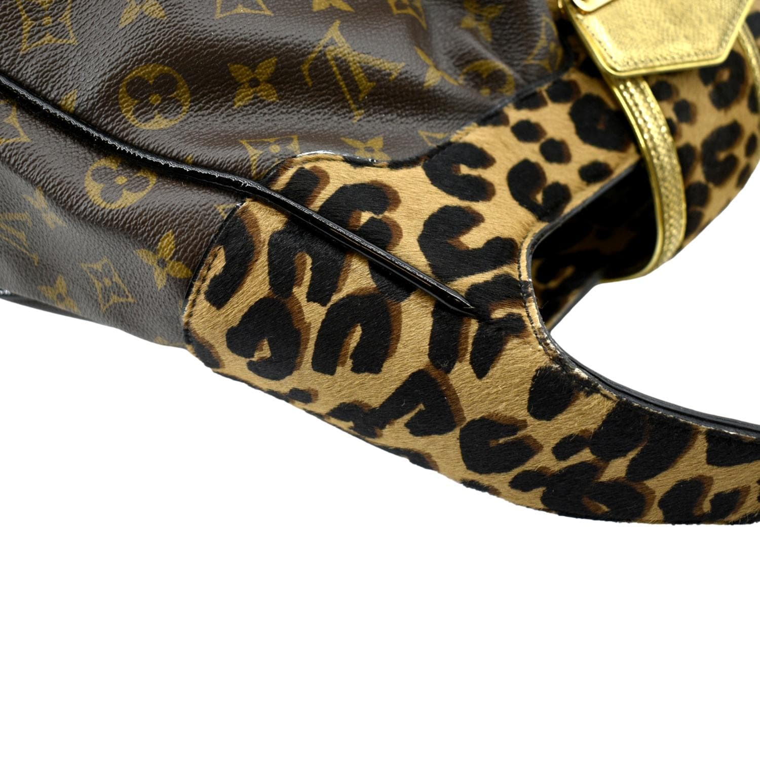 LOUIS VUITTON Polly Leopard Monogram Canvas Hobo Bag Brown - Image 7