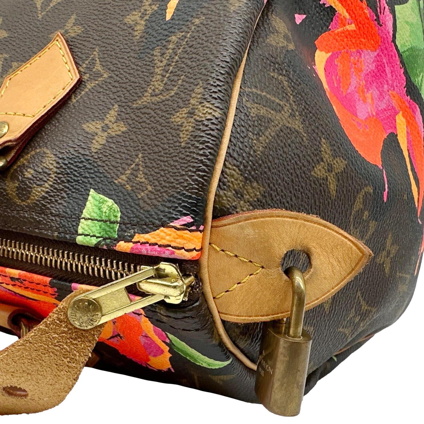 LOUIS VUITTON Speedy 30 Monogram Roses Canvas Satchel Bag Brown - Image 7