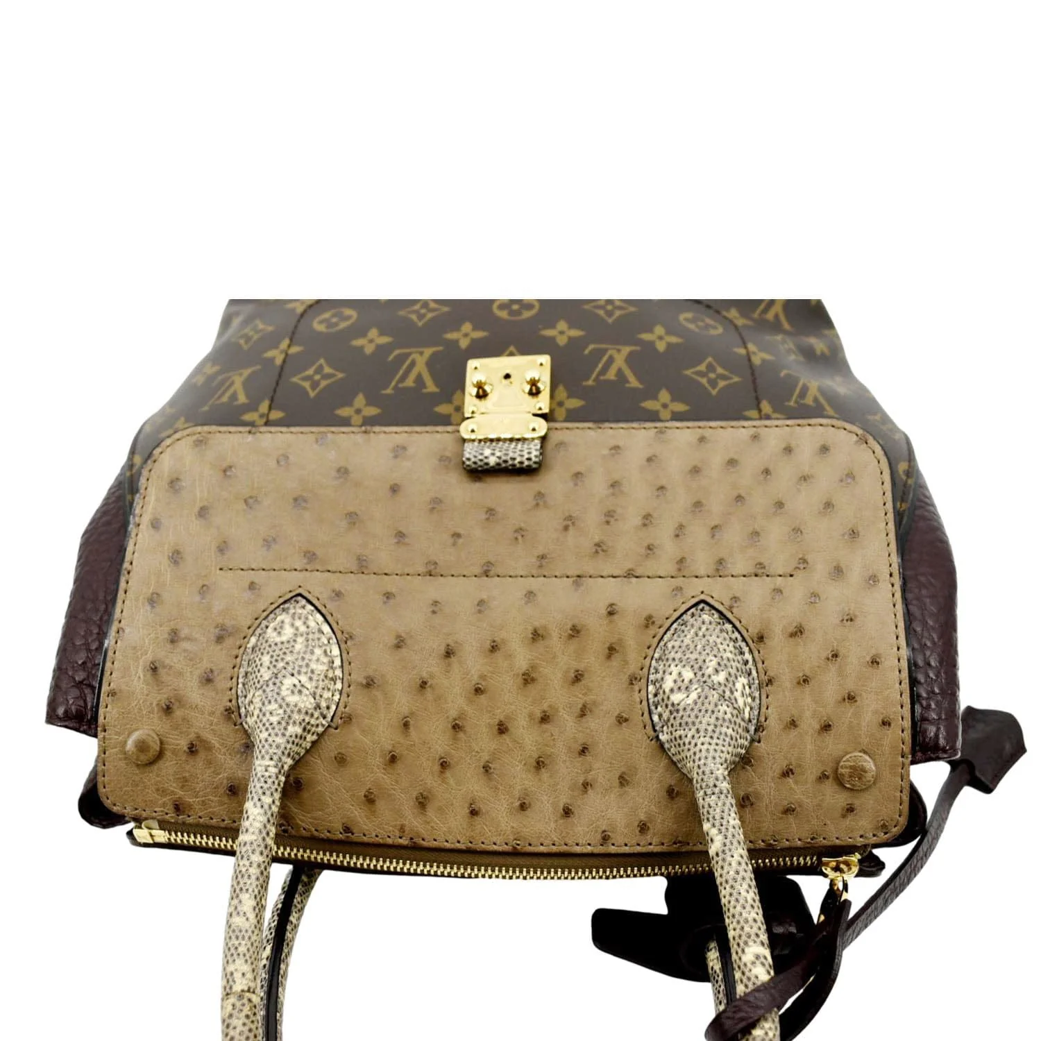 LOUIS VUITTON Majestueux Monogram Canvas Exotic Tote Bag Brown - Image 4