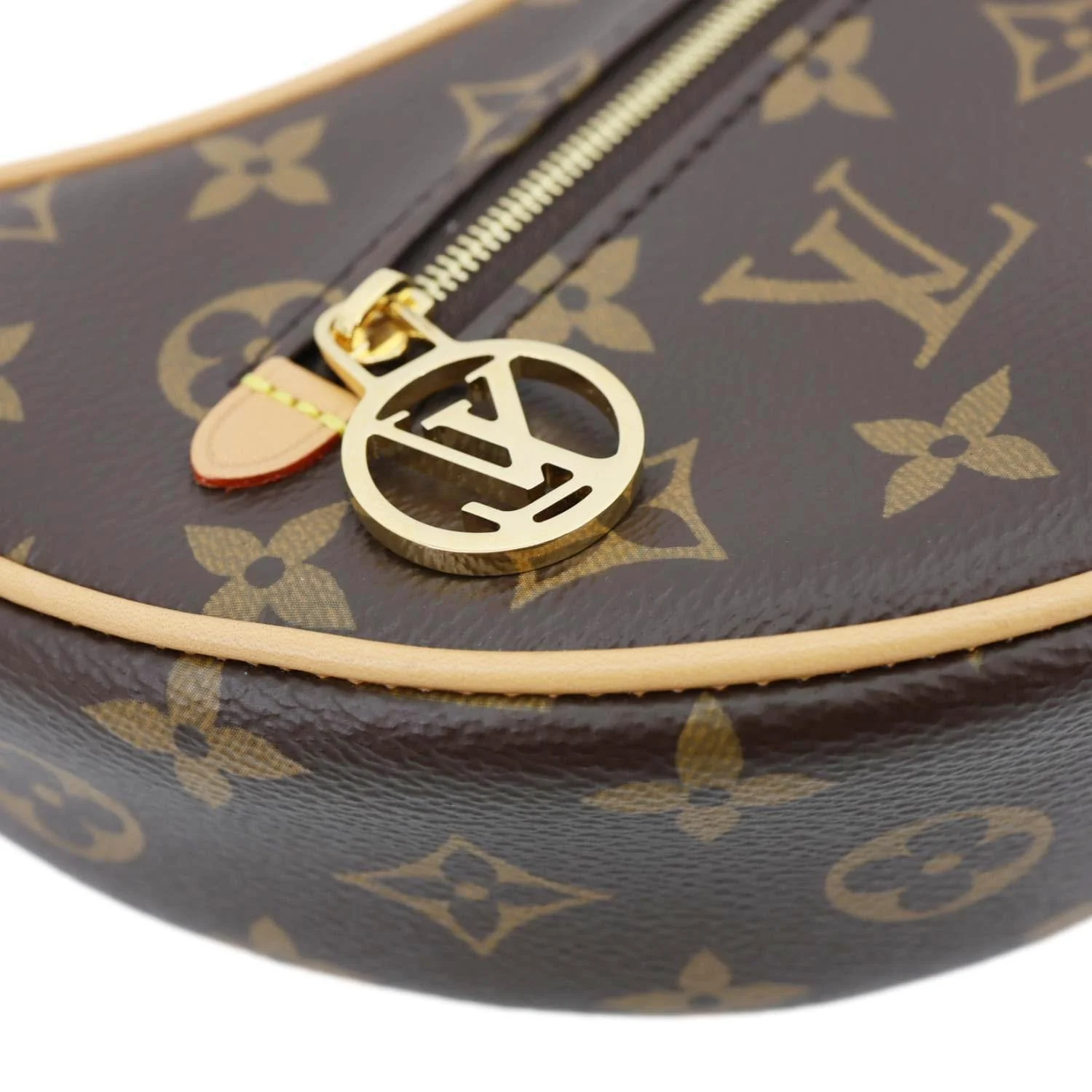 LOUIS VUITTON Loop Monogram Reverse Canvas Hobo Bag Brown - Image 9