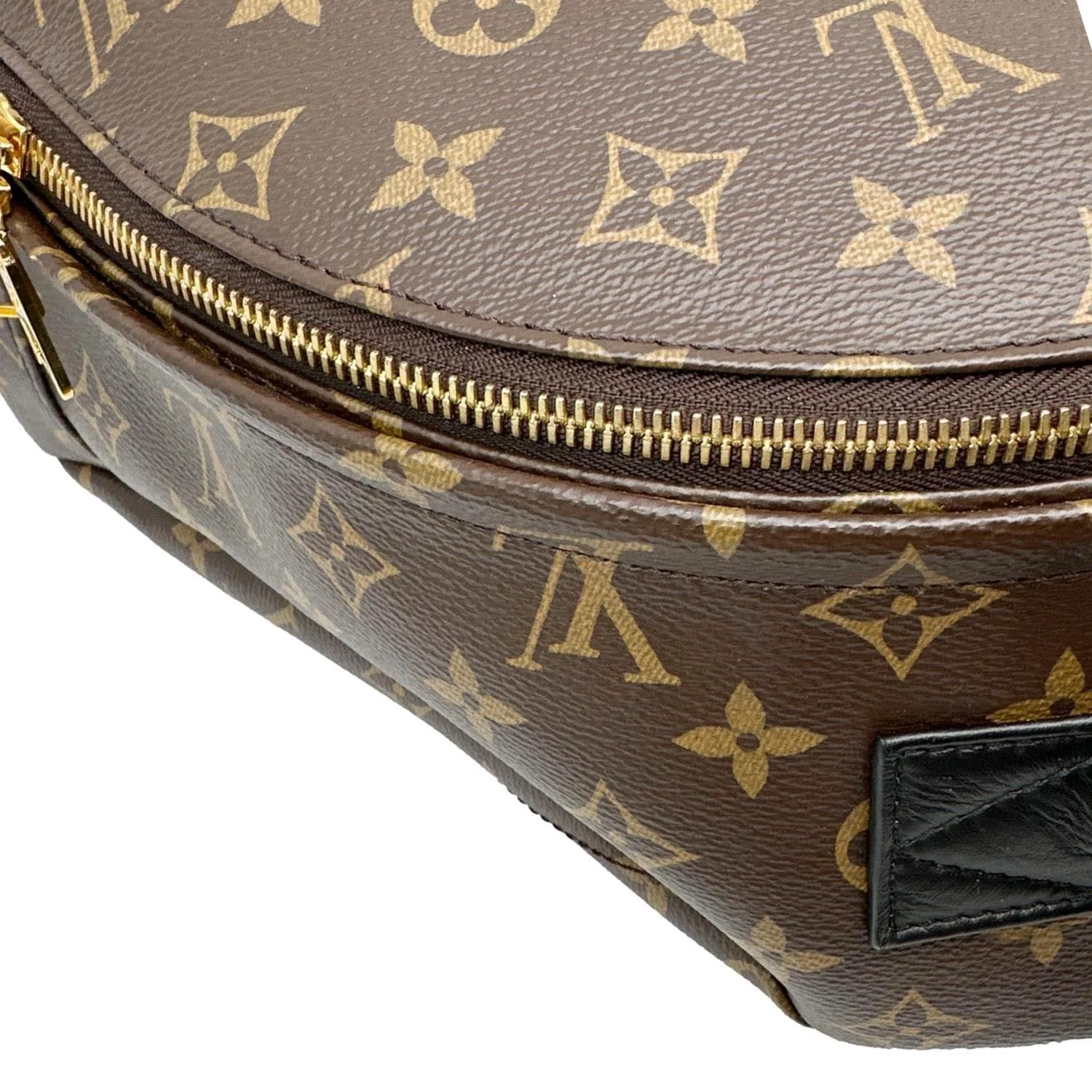 LOUIS VUITTON Palm Springs MM Monogram Canvas Backpack Brown - Image 5