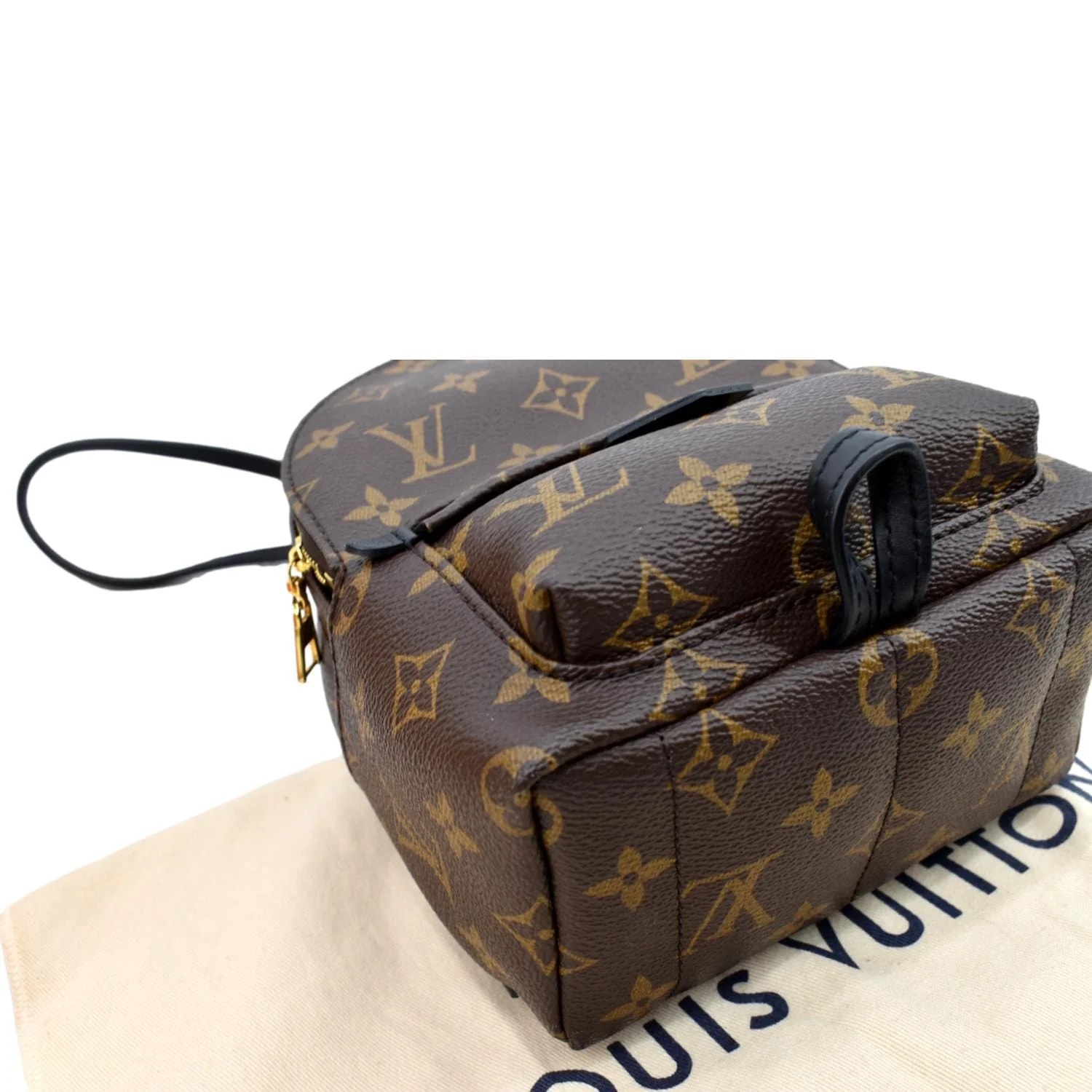 LOUIS VUITTON Palm Springs Mini Monogram Canvas Backpack Brown - Image 9