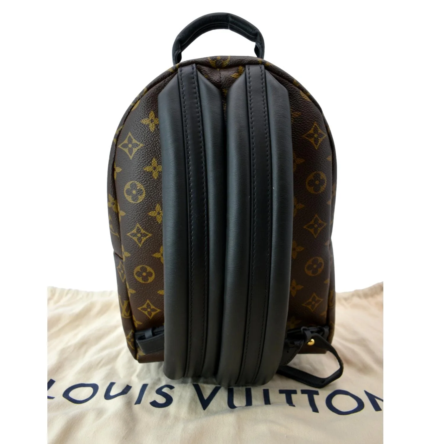 LOUIS VUITTON Palm Springs PM Monogram Canvas Backpack Brown - Image 3