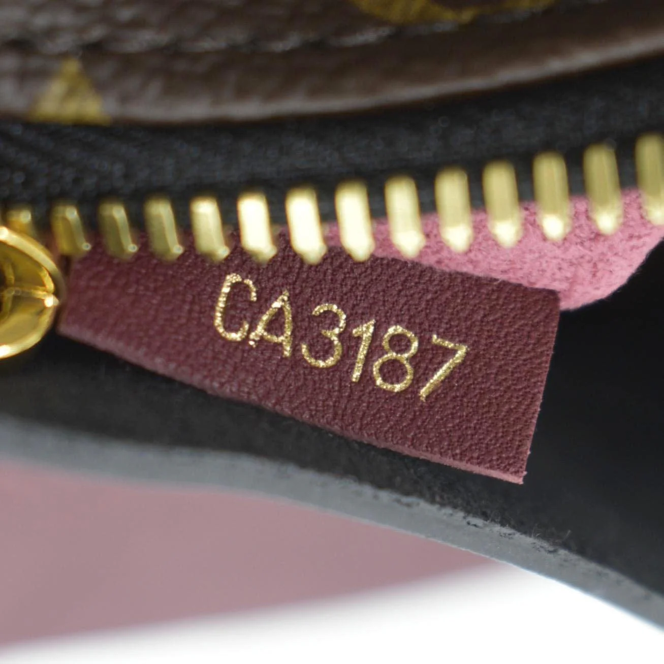 LOUIS VUITTON Tuileries Besace Monogram Canvas Shoulder Bag Bruyere - Image 12